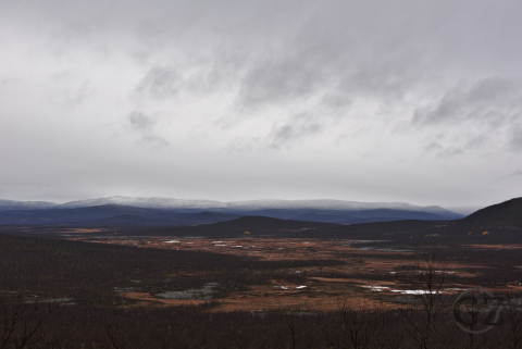 iso suo, tunturit ja metsä