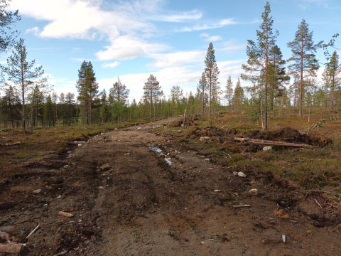monta metriä leveä rujo metsätie kairassa