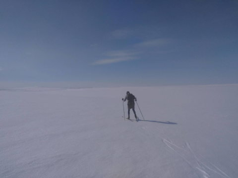 hiihtäjä keskellä valkoista lumiaavaa