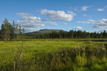 suo, metsä ja Pyhäkero tunturi