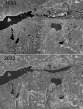 Luonnon häviäminen uusien teiden ja metsätalouden vuoksi kansallispuiston ja Hettan välillä. Satelliittikuvattu 1990-2023.