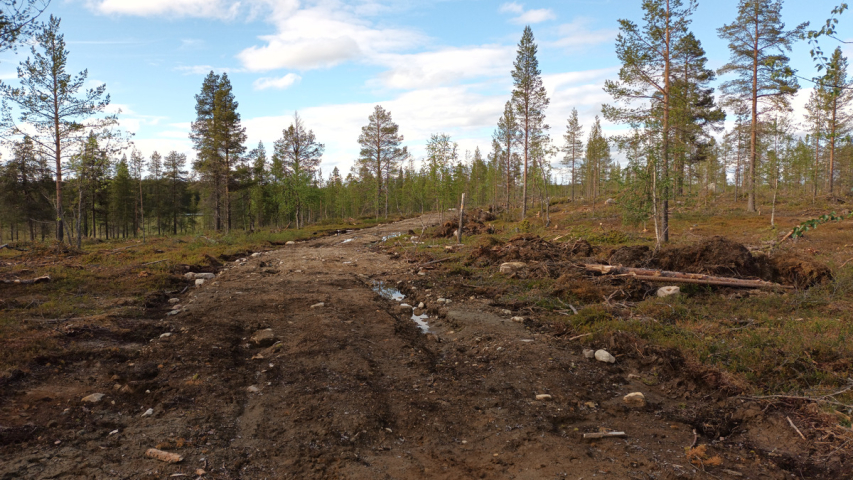 monta metriä leveä rujo metsätie kairassa