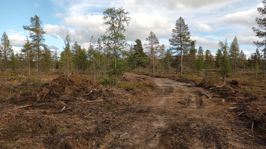 monta metriä leveä rujo metsätie kairassa