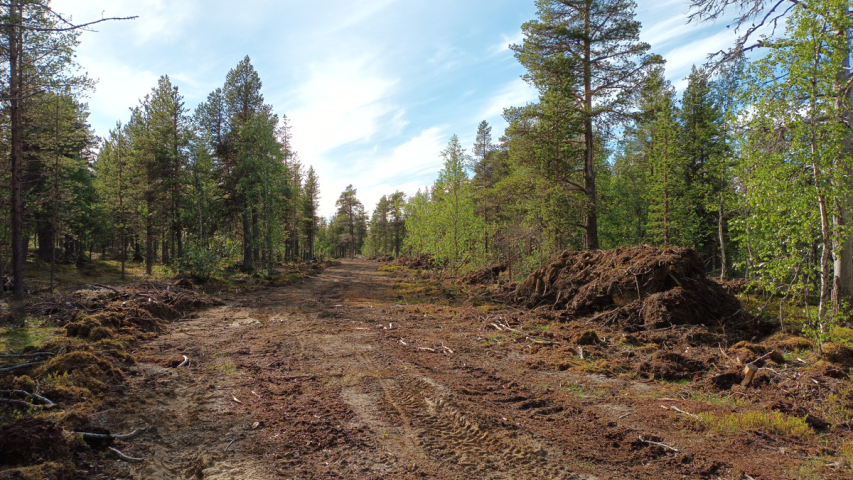 monta metriä leveä rujo metsätie kairassa