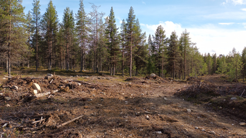 monta metriä leveä rujo metsätie kairassa