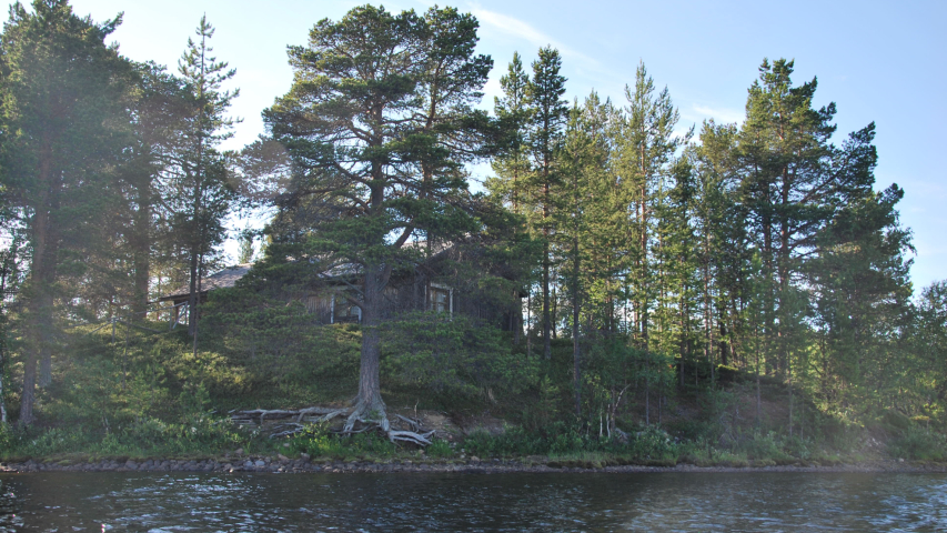 Vanha kämppä järven rannassa ison männnyn takana