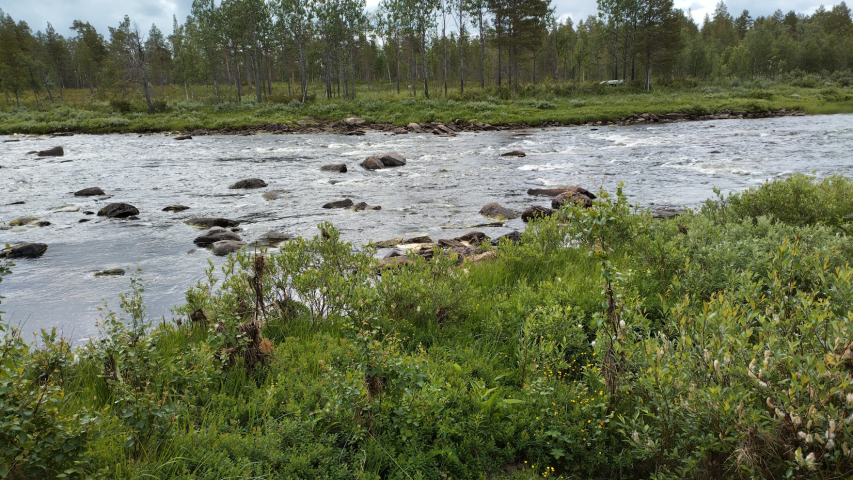 fast flowing river with stones sticking out