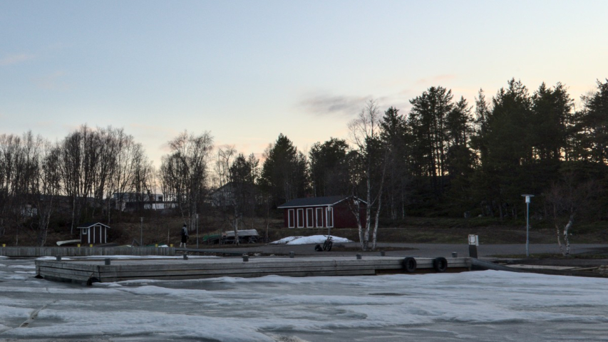 koivuja Hettaan satamassa