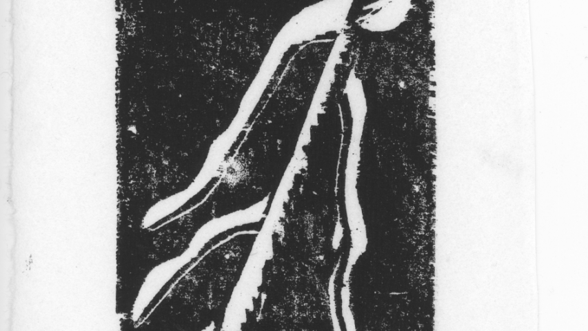 kelo lumen peitossa puukaiverruksena