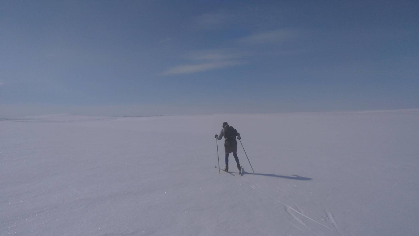 hiihtäjä keskellä valkoista lumiaavaa